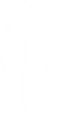 MongoDB