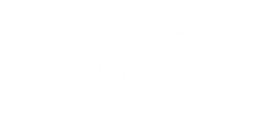 SAP ERP