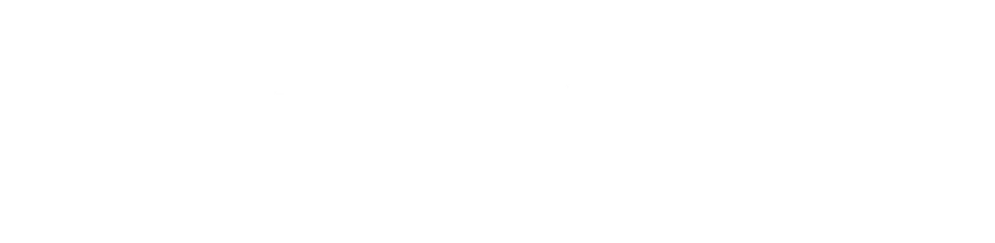 Schneider Downs